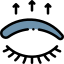 Over-Plucked Brows